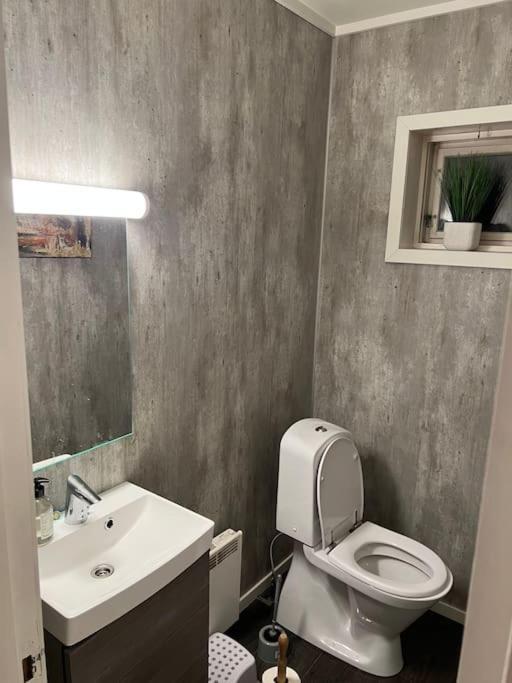 In The Heart Of The Aurora Borealis - Appartement *