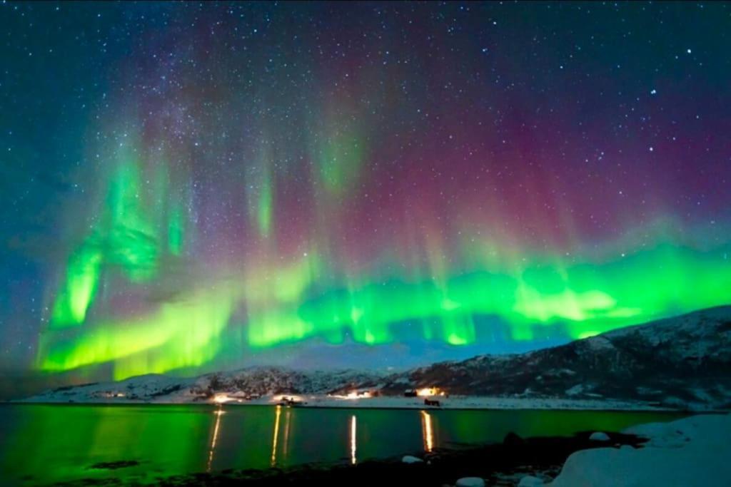 Appartement In The Heart Of The Aurora Borealis - *