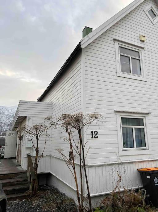 In The Heart Of The Aurora Borealis - Appartement Tromsø