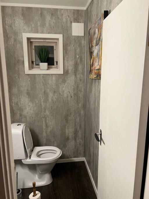 Appartement In The Heart Of The Aurora Borealis -