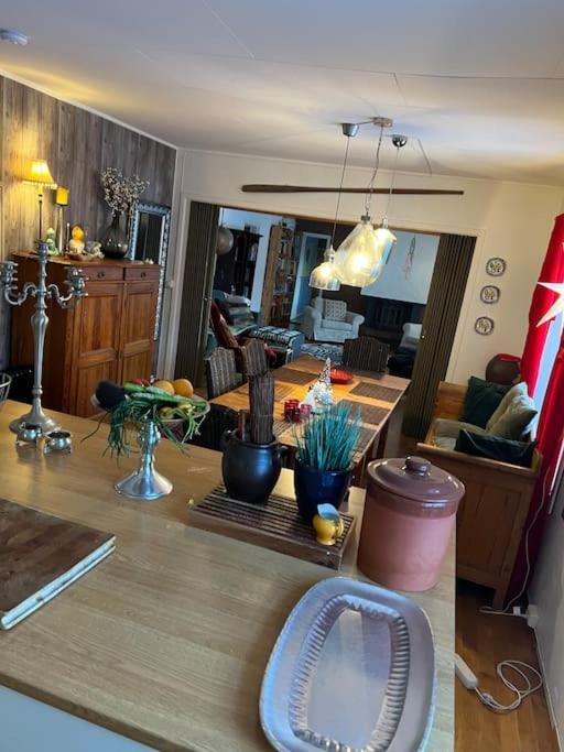 In The Heart Of The Aurora Borealis - Appartement *
